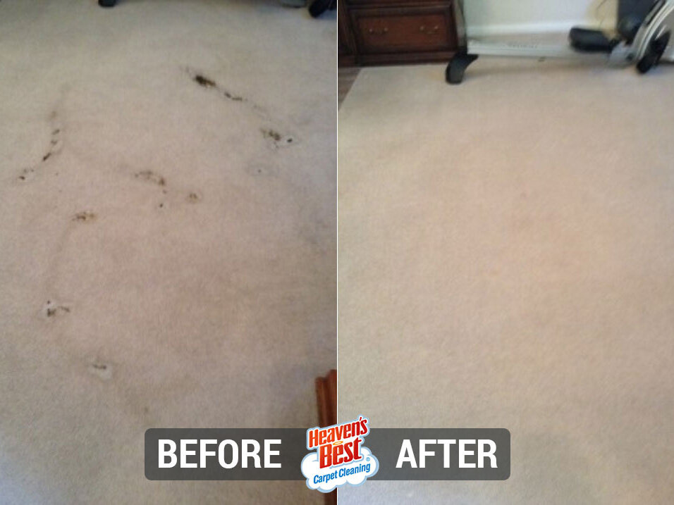 Heaven’s Best Carpet Cleaning of North OC