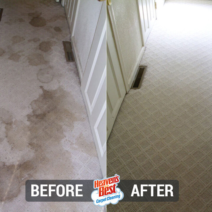 Heaven’s Best Carpet Cleaning of North OC